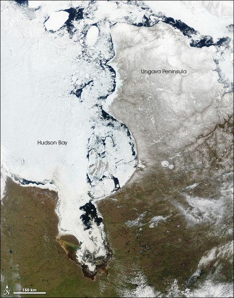 In late spring (May), large chunks of ice float near the eastern shore of the bay, while the centre of the bay remains frozen to the west. Between 197
