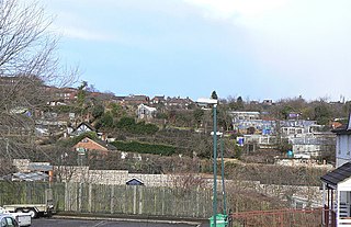 <span class="mw-page-title-main">St Ann's Allotments</span>