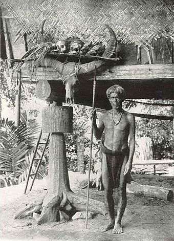 An Ifugao warrior with some of his trophies, Cordillera Mountains, circa 1912
