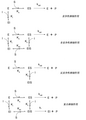 酶催化反应的抑制类型（翻译版本） Inhibition types for enzyma reaction (Chinese version)