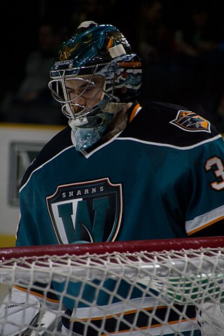 <span class="mw-page-title-main">J. P. Anderson</span> Canadian ice hockey player