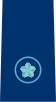 56px-JASDF_self_defence_official_cadet_insignia_%28b%29