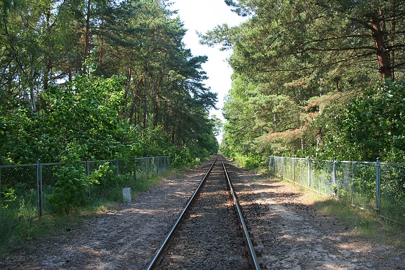 File:Jastarnia - Railway line 213 01.jpg