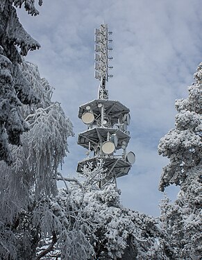 Sendeturm im Pfälzerwald