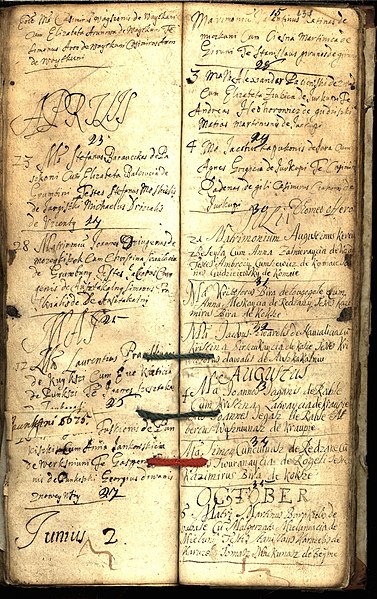 File:Kamajų RKB 1669-1680 krikšto ir santuokos metrikų knyga 133.jpg