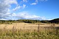 Karelia fields (22588160403).jpg