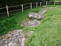 Kerbstones on the western side of the Coldrum Long Barrow. [37]