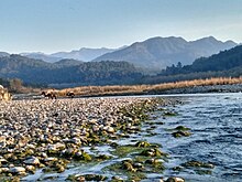 Koshi Barrage - Wikipedia