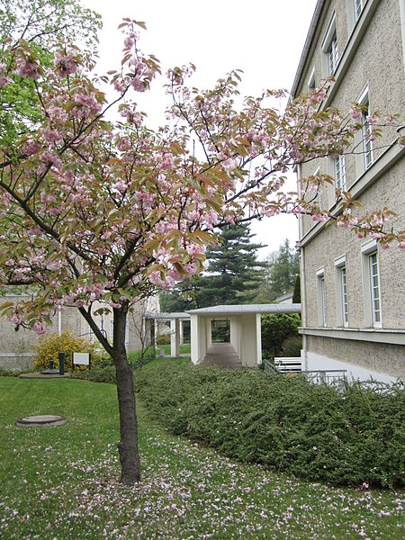 File:Krankenhaus Dresden Neustadt Verbindungsgänge V.JPG