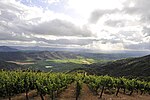 Miniatura para Ruta del Vino del Valle de Colchagua