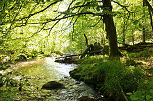 La haute vallée de la Vienne fait l'objet d'une protection en Zone spéciale de conservation, entre la source et en aval la commune de Saint-Léonard-de-Noblat.