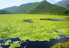 Image illustrative de l’article Lac de Kalodíki