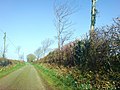 Lane to from Fern Hill to Clay Lane - geograph.org.uk - 1202794.jpg