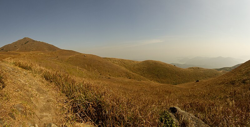 File:Lantau montane grassland.jpg