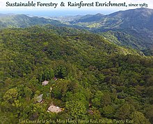 Las Casas de la Selva, Patillas Las Casas de la Selva - Eye On the Rainforest.jpg