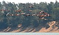 In Chilika, Odisha, India.