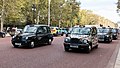 * Nomination Taxis at The Mall, London, England, United Kingdom --XRay 04:31, 28 November 2016 (UTC) * Promotion Good quality. --Poco a poco 08:05, 28 November 2016 (UTC)