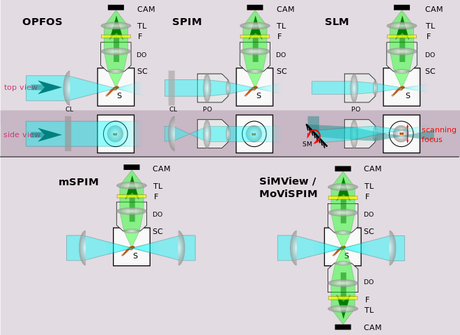 Illustration of different light sheet fluorescence microscope implementations. See text for details. Legend: CAM=camera, TL=tube lens, F=filter, DO=detection objective, S=sample, SC=sample chamber, PO=projection objective, CL=cylindrical lens, SM=scanning mirror