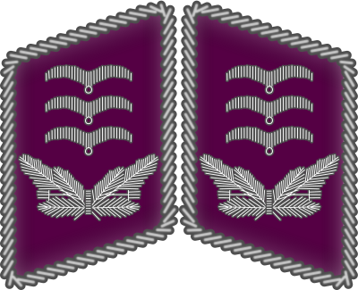 File:Luftwaffe collar tabs Hauptmann 3D.svg