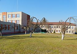 Luokės Vytauto Kleivos gimnazija