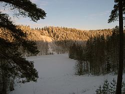 Taustalla umpeenkasvanut alastulorinne.