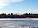 Une rivière gelée traverse un pays plat.  Des arbres courts poussent sur les berges ;  les hautes montagnes sont au loin.