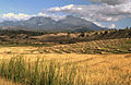 Harvested rice fields  of Matebian, Timor-Leste