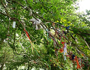 Material in the Rag Tree at Coldrum Long Barrow (15).jpg