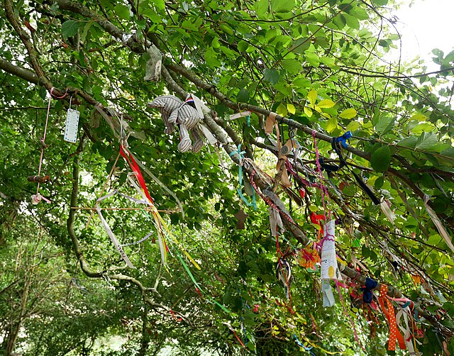 Wishes and offerings on the tree at Coldrum Long Barrow, England