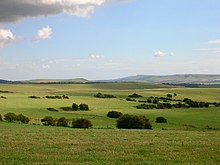 Medieval field system near Balmer Down.