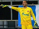 Vignette pour Milan Borjan