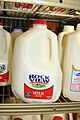 Blow molded plastic bottle of milk; sometimes called a “milk jug” in America