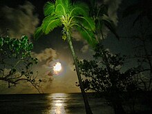 Moonlight over Bingil Bay boat ramp, 2011 Moonlight over Bingil Bay boat ramp, 2011.jpg