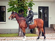 Mounted policeman in Oslo (Norway).jpg