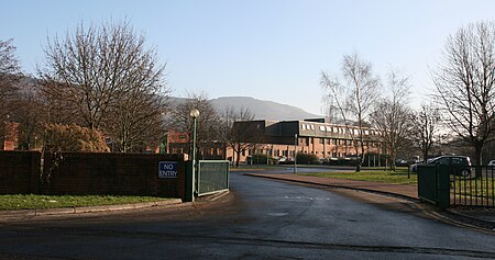 Mtn ash comp school