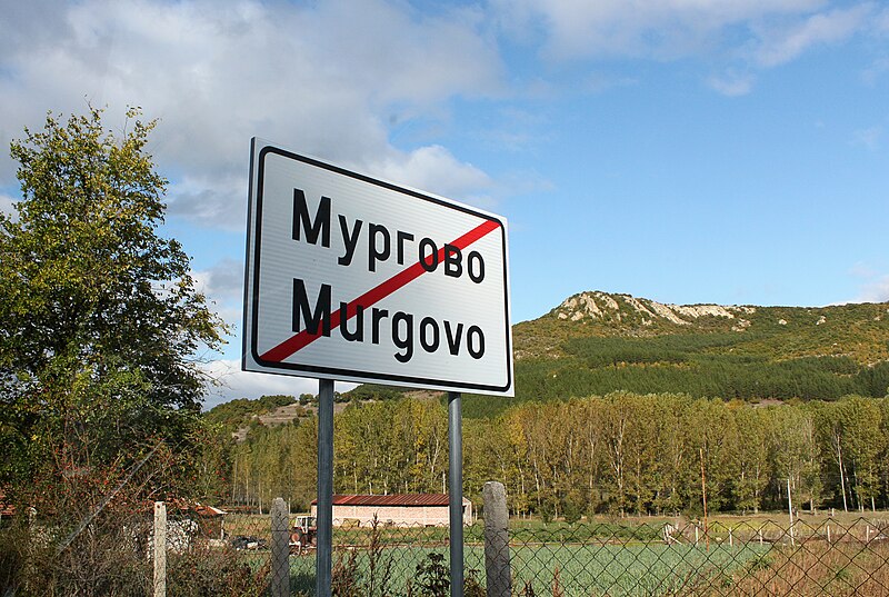 File:Murgovo 2011 PD 7.JPG