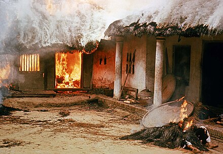 Dead bodies outside a burning dwelling in My Lai