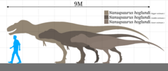 Nanuqsaurus hoglundi