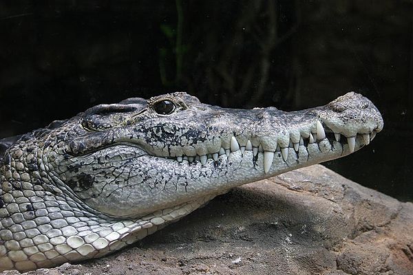 At Wuppertal Zoo