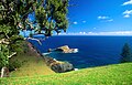 Norfolk Island Bird Rock.jpg