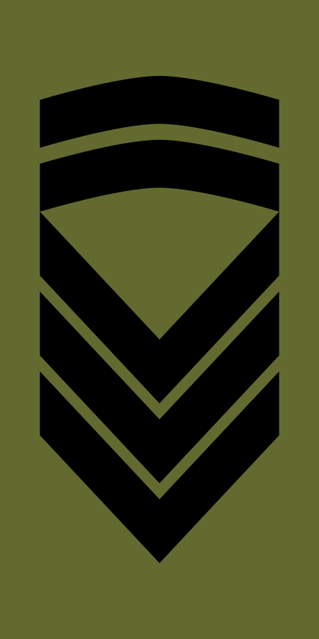 ไฟล์:Norway-Army-OR-7.svg