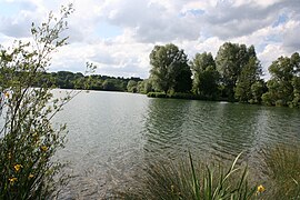 7.9.20 Oberrieder Weiher