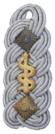 Oberstarzt (eq. Oberst) - Medicinski korpus.png
