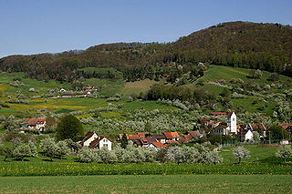 <span class="mw-page-title-main">Oltingen</span> Municipality in Basel-Landschaft, Switzerland