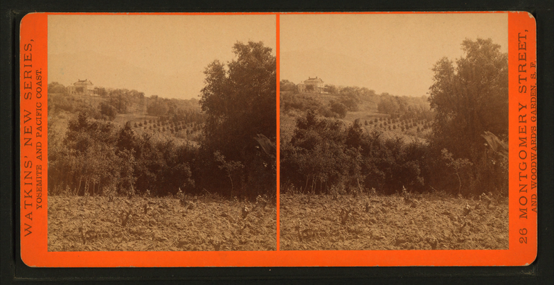 File:Orange groves, by Watkins, Carleton E., 1829-1916.png