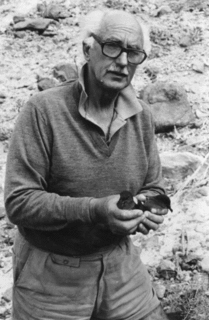 Paul Alexander Zino Portuguese ornithologist