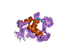 PDB 1fli EBI.jpg