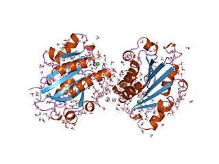 <span class="mw-page-title-main">Von Willebrand factor type A domain</span>