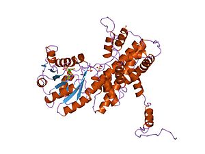 PDB 1pgq EBI.jpg