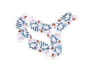 PDB 2gbv EBI.png